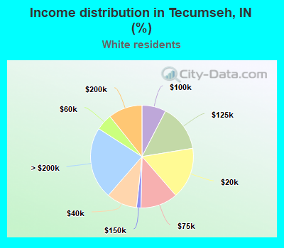 Income distribution in Tecumseh, IN (%)