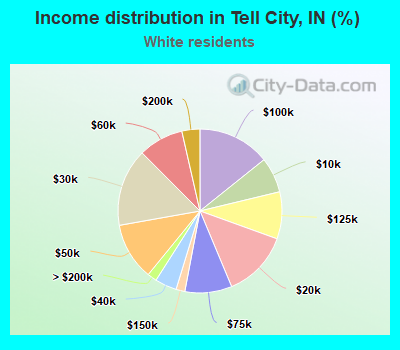 Income distribution in Tell City, IN (%)