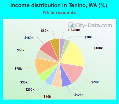 Income distribution in Tenino, WA (%)