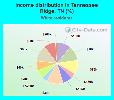 Income distribution in Tennessee Ridge, TN (%)