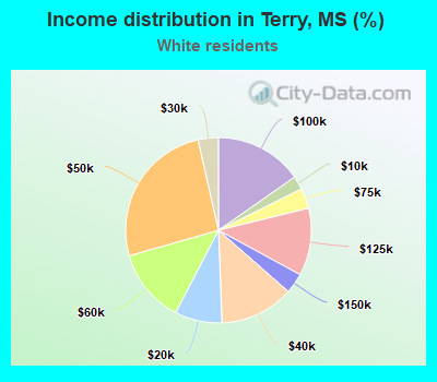 Income distribution in Terry, MS (%)