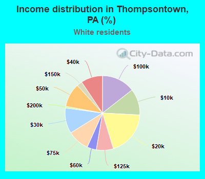 Income distribution in Thompsontown, PA (%)