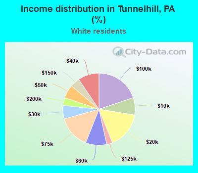 Income distribution in Tunnelhill, PA (%)