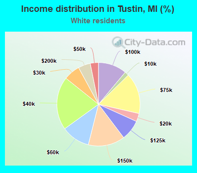 Income distribution in Tustin, MI (%)