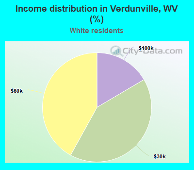 Income distribution in Verdunville, WV (%)