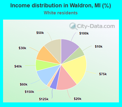 Income distribution in Waldron, MI (%)