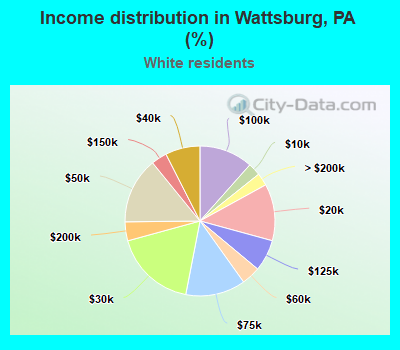 Income distribution in Wattsburg, PA (%)