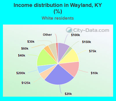 Income distribution in Wayland, KY (%)