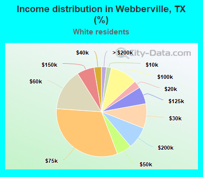 Income distribution in Webberville, TX (%)