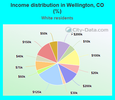 Income distribution in Wellington, CO (%)