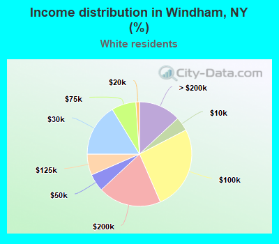 Income distribution in Windham, NY (%)