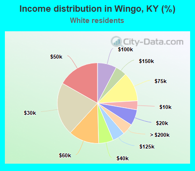 Income distribution in Wingo, KY (%)