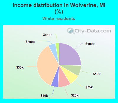 Income distribution in Wolverine, MI (%)
