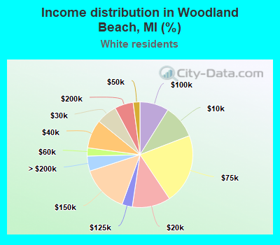 Income distribution in Woodland Beach, MI (%)
