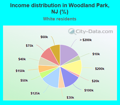 Income distribution in Woodland Park, NJ (%)