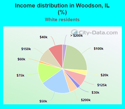 Income distribution in Woodson, IL (%)