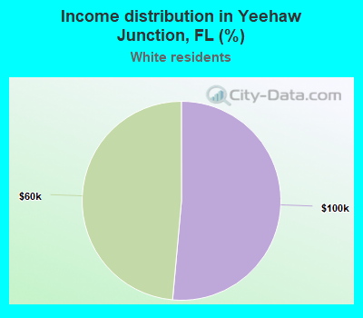 Income distribution in Yeehaw Junction, FL (%)