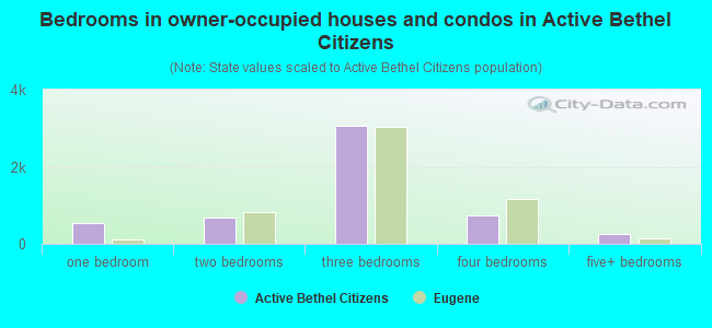 Bedrooms in owner-occupied houses and condos in Active Bethel Citizens