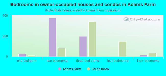 Bedrooms in owner-occupied houses and condos in Adams Farm