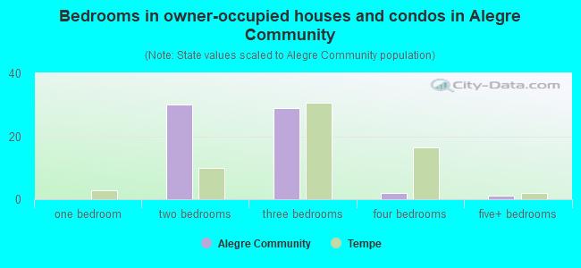 Bedrooms in owner-occupied houses and condos in Alegre Community