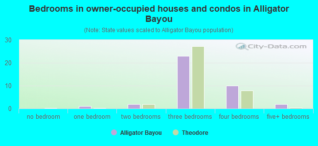 Bedrooms in owner-occupied houses and condos in Alligator Bayou