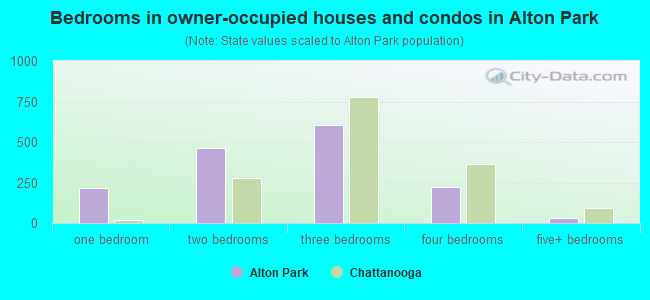 Bedrooms in owner-occupied houses and condos in Alton Park
