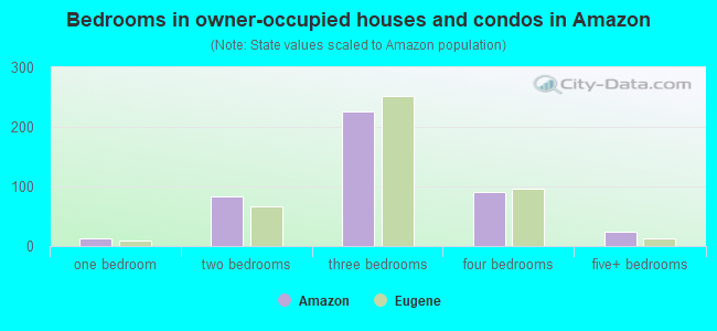 Bedrooms in owner-occupied houses and condos in Amazon
