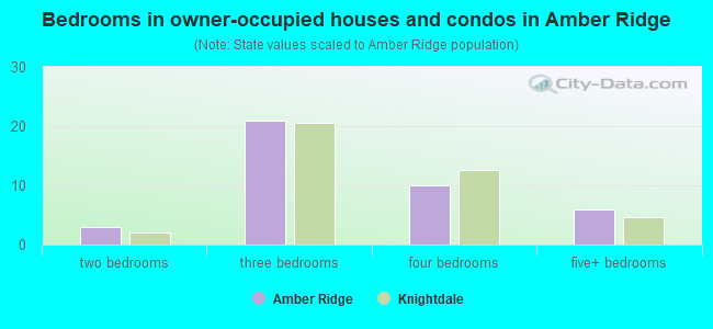 Bedrooms in owner-occupied houses and condos in Amber Ridge