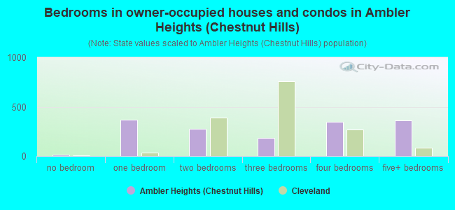 Bedrooms in owner-occupied houses and condos in Ambler Heights (Chestnut Hills)