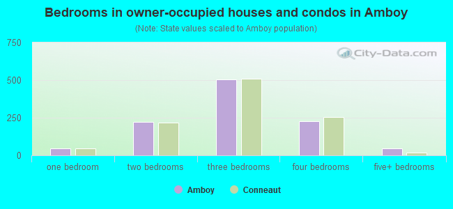 Bedrooms in owner-occupied houses and condos in Amboy