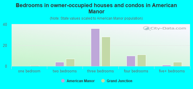 Bedrooms in owner-occupied houses and condos in American Manor