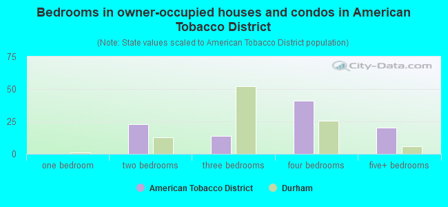 Bedrooms in owner-occupied houses and condos in American Tobacco District