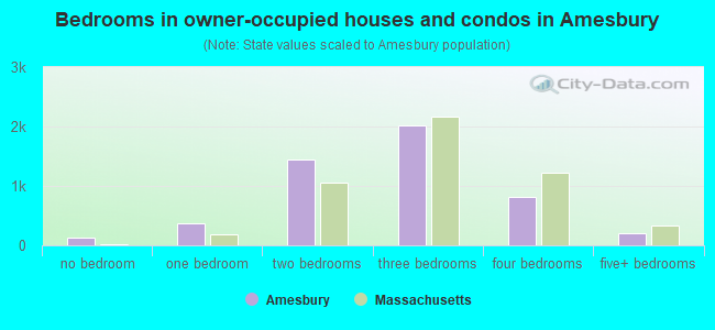 Bedrooms in owner-occupied houses and condos in Amesbury