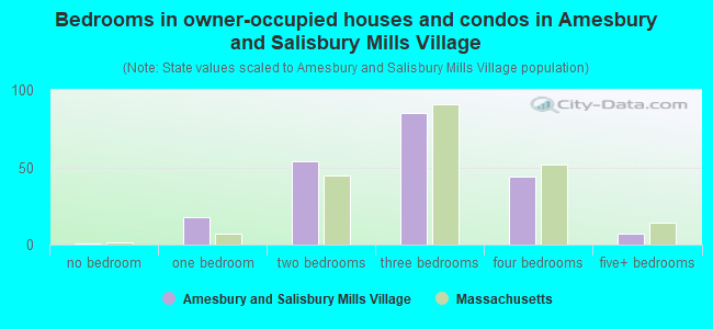 Bedrooms in owner-occupied houses and condos in Amesbury and Salisbury Mills Village