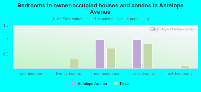 Bedrooms in owner-occupied houses and condos in Antelope Avenue