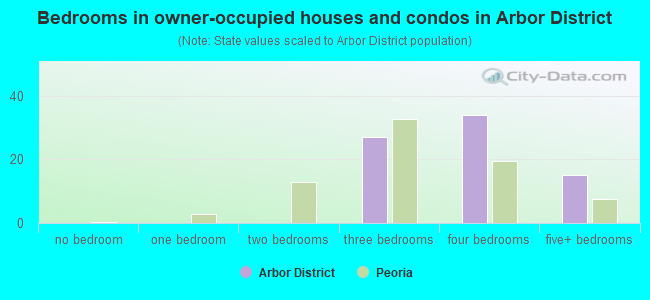 Bedrooms in owner-occupied houses and condos in Arbor District