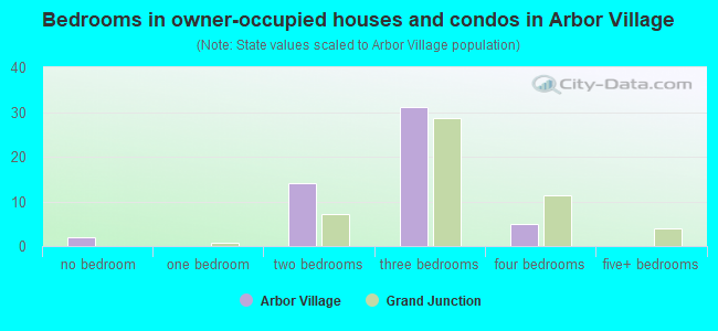 Bedrooms in owner-occupied houses and condos in Arbor Village