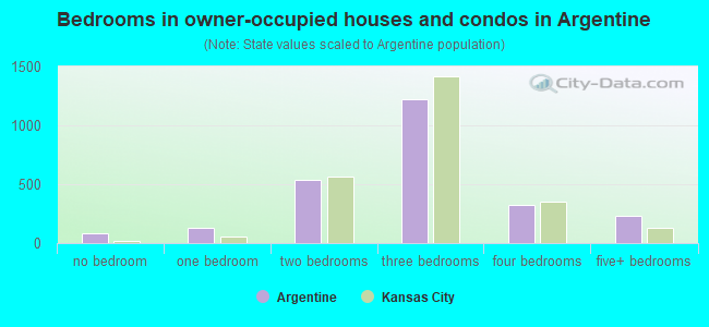 Bedrooms in owner-occupied houses and condos in Argentine