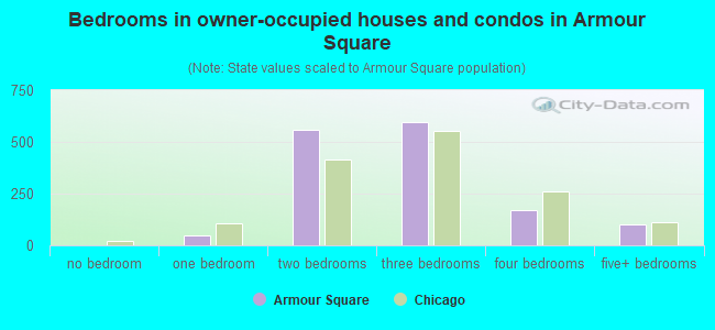 Bedrooms in owner-occupied houses and condos in Armour Square