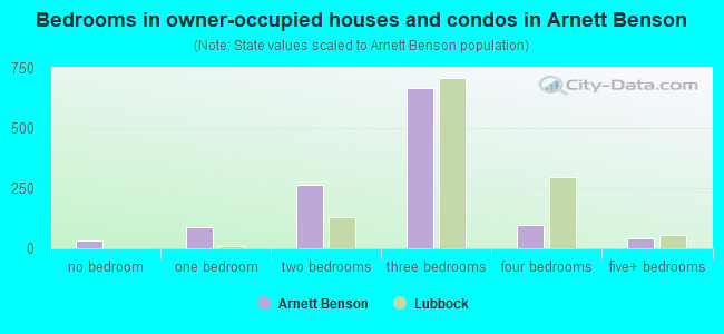 Bedrooms in owner-occupied houses and condos in Arnett Benson