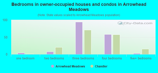 Bedrooms in owner-occupied houses and condos in Arrowhead Meadows