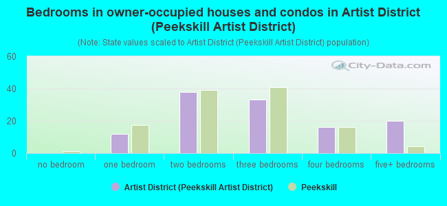 Bedrooms in owner-occupied houses and condos in Artist District (Peekskill Artist District)