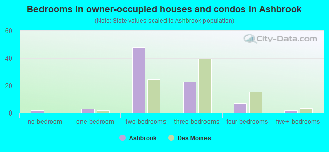 Bedrooms in owner-occupied houses and condos in Ashbrook