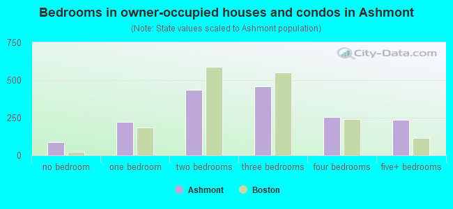 Bedrooms in owner-occupied houses and condos in Ashmont