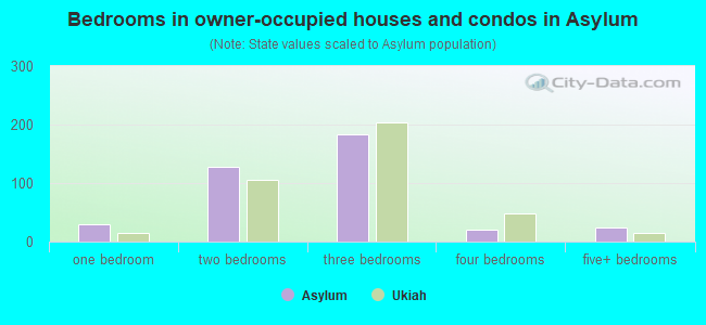 Bedrooms in owner-occupied houses and condos in Asylum