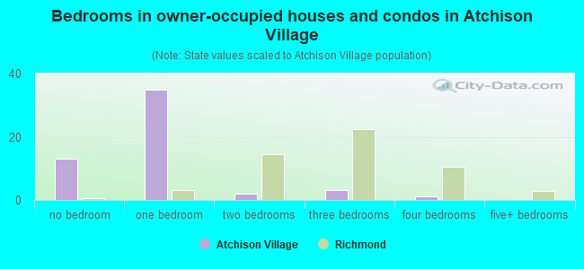 Bedrooms in owner-occupied houses and condos in Atchison Village