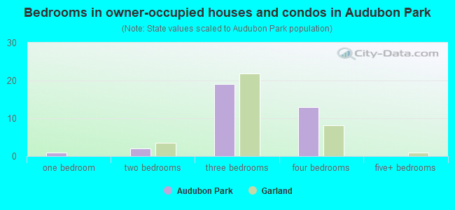Bedrooms in owner-occupied houses and condos in Audubon Park
