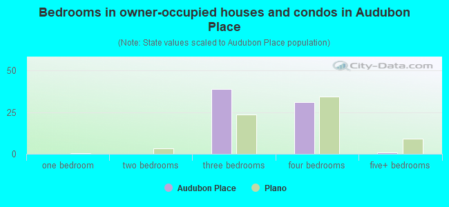 Bedrooms in owner-occupied houses and condos in Audubon Place