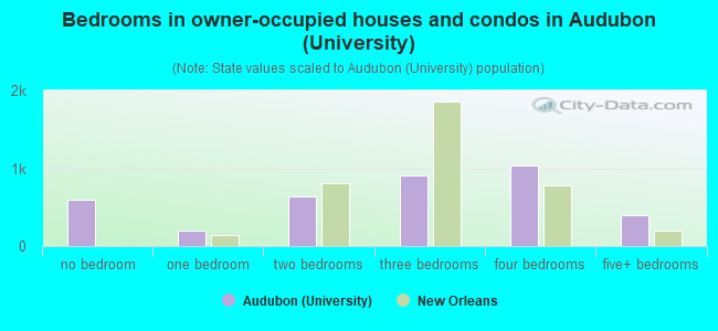 Bedrooms in owner-occupied houses and condos in Audubon (University)