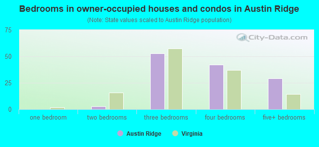 Bedrooms in owner-occupied houses and condos in Austin Ridge